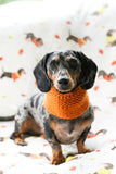 FALL KNITTED DOG SNOOD